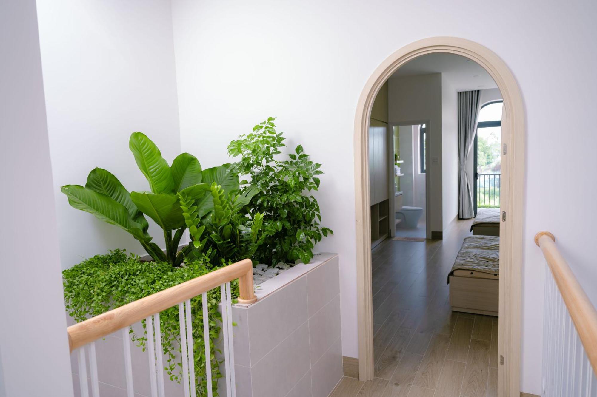 Sophia Healing House Кантхо Екстер'єр фото